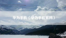毕为手机（华为手机官网）