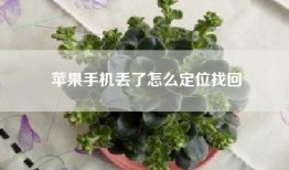 苹果手机丢了怎么定位找回