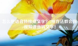怎么把语音转换成文字？7种方法教会你视频语音转文字！