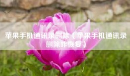 苹果手机通讯录删除（苹果手机通讯录删除咋恢复）
