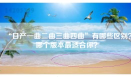 “日产一曲二曲三曲四曲”有哪些区别？哪个版本最适合你？