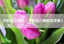 手机自己刷机（手机自己刷机怎样刷）