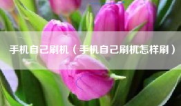手机自己刷机（手机自己刷机怎样刷）