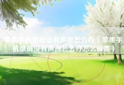 苹果手机录屏没有声音怎么办（苹果手机录屏没有声音怎么办怎么设置）