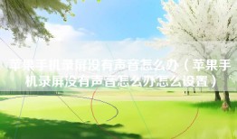 苹果手机录屏没有声音怎么办（苹果手机录屏没有声音怎么办怎么设置）
