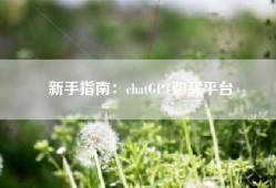 新手指南：chatGPT购买平台