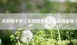 买到假手机（买到假手机怎么投诉举报）