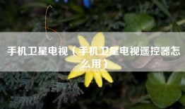 手机卫星电视（手机卫星电视遥控器怎么用）