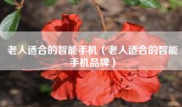 老人适合的智能手机（老人适合的智能手机品牌）