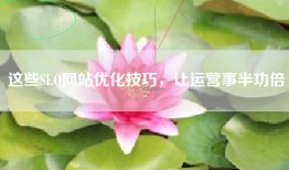 这些SEO网站优化技巧，让运营事半功倍