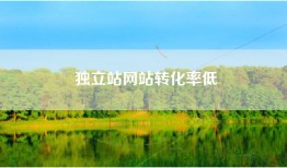 独立站网站转化率低