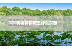贵金属投资是什么东西