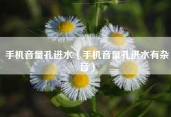 手机音量孔进水（手机音量孔进水有杂音）