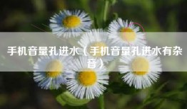 手机音量孔进水（手机音量孔进水有杂音）