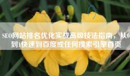SEO网站排名优化实战高级技法指南，从0到1快速到百度或任何搜索引擎首页