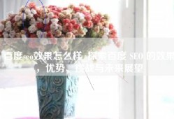 百度seo效果怎么样_探索百度 SEO 的效果，优势、挑战与未来展望