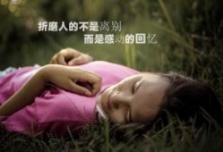 为什么农村的狗几乎不会生病，它们真的会自己找药吃吗？热度 7前往科技热度风云榜＞
