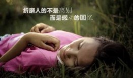 为什么农村的狗几乎不会生病，它们真的会自己找药吃吗？热度 7前往科技热度风云榜＞