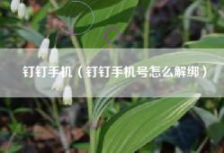 钉钉手机（钉钉手机号怎么解绑）