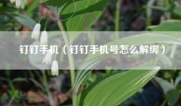 钉钉手机（钉钉手机号怎么解绑）