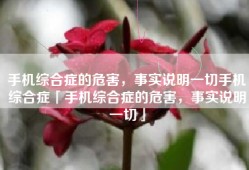 手机综合症的危害，事实说明一切手机综合症「手机综合症的危害，事实说明一切」