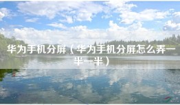 华为手机分屏（华为手机分屏怎么弄一半一半）
