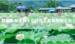 数据恢复手机（怎样从云数据恢复手机）