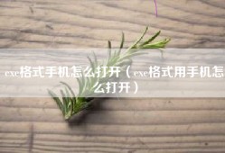 exe格式手机怎么打开（exe格式用手机怎么打开）