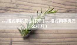 exe格式手机怎么打开（exe格式用手机怎么打开）