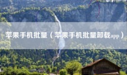 苹果手机批量（苹果手机批量卸载app）