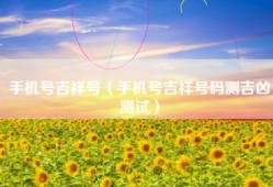 手机号吉祥号（手机号吉祥号码测吉凶测试）