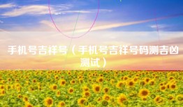 手机号吉祥号（手机号吉祥号码测吉凶测试）