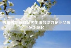 内蒙古专业网站优化服务助力企业品牌在线崛起