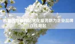 内蒙古专业网站优化服务助力企业品牌在线崛起