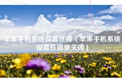 苹果手机系统设置在哪（苹果手机系统设置在哪里关闭）