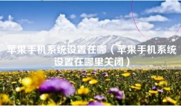 苹果手机系统设置在哪（苹果手机系统设置在哪里关闭）