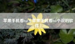 苹果手机看txt（苹果手机看txt小说的软件）