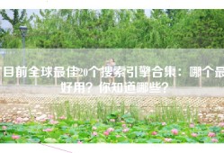 目前全球最佳20个搜索引擎合集：哪个最好用？你知道哪些？