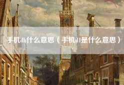 手机dh什么意思（手机d1是什么意思）