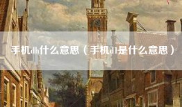 手机dh什么意思（手机d1是什么意思）