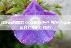 SEO关键词优化公司哪家好？如何选择最适合的SEO优化服务