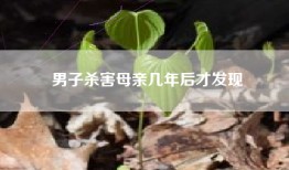 男子杀害母亲几年后才发现