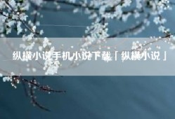纵横小说手机小说下载「纵横小说」