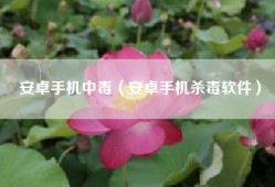 安卓手机中毒（安卓手机杀毒软件）