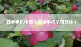 安卓手机中毒（安卓手机杀毒软件）