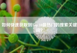 如何快速获取到Top 10最热门的搜索关键词？
