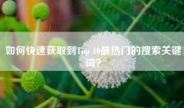 如何快速获取到Top 10最热门的搜索关键词？