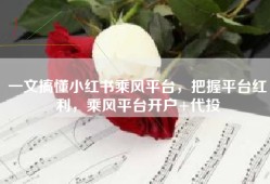 一文搞懂小红书乘风平台，把握平台红利，乘风平台开户+代投