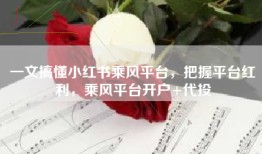一文搞懂小红书乘风平台，把握平台红利，乘风平台开户+代投