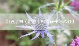 沉迷手机（沉迷手机的孩子怎么办）